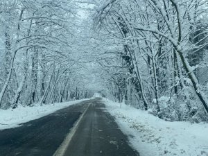 Ağaç tüneller kar güzelliği ile mest ediyor