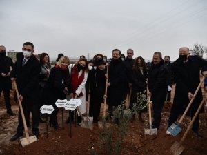 Daha yeşil bir Gaziantep için fidanlar toprakla buluştu