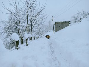 Sağlık ekipleri seferber oldu, KOAH hastasına üç saat sonra ulaşıldı