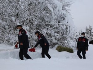 Artvin’de yaban hayatı için doğaya yem bırakıldı
