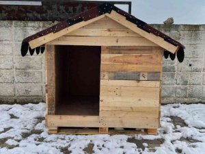 Sokak hayvanları ‘Bizim Sokağın Çocukları’ projesiyle güvende olacak