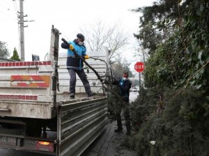 Bursa’da budanan ağaçların atıkları toprağa geri dönüyor