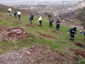 Büyükşehirden Gölcük Hisareyn’e bal ormanı