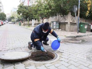 Efeler Belediyesi’nin sağlık işleri ekipleri yoğun mesai yapıyor