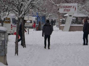 Van’da kar yağışı heyecanı
