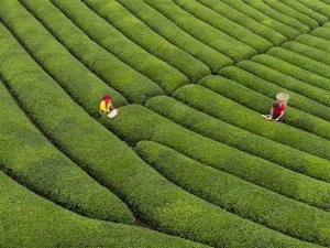 Fotono21 Fotoğraf Derneği Dünya Kupası Fotoğraf Yarışmasında