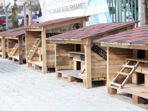 Pet Kafe ve Mama Üretim Tesisi Türkiye’ye örnek oldu