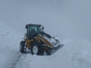Van-Bahçesaray yolu yeniden ulaşıma açıldı