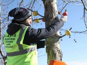 Cumhurbaşkanı Erdoğan işaret etti, Elazığ Belediyesi hemen yerine getirdi