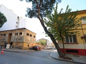 Efeler Belediyesi can ve mal güvenliğini tehdit eden ağaçlarla ilgili çalışma başlattı