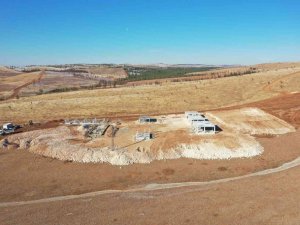 Şanlıurfa’da sokak hayvanları için rehabilitasyon merkezi kuruluyor