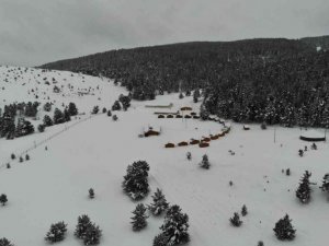 Karla kaplanan ve kartpostallık manzaraya bürünen Dumanlı Tabiat Parkı, havadan görüntülendi