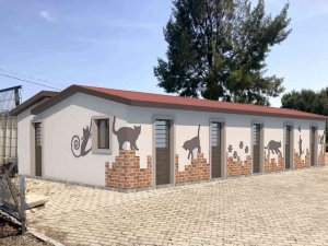 Kuşadası’nda hasta kedilere özel tedavi ünitesi