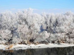 Göle buz kesti: - 30
