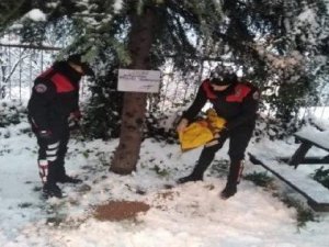 Emniyet ekipleri sokak hayvanlarını unutmadı