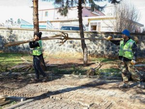 Süryani Kadim Mezarlığı ağaçlandırıldı