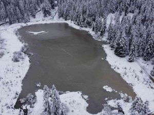 Orman manzaralı Sarıçiçek Göleti buz tuttu