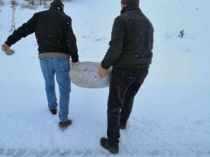 Karabük’te yaban hayvanları için yemleme çalışması yapıldı