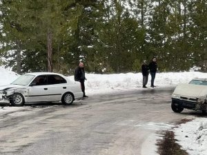 Ağaçta buz sakırtıları oluştu