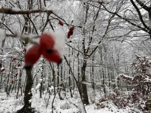 Düzce’nin yüksek kesimlerinde kartpostallık manzaralar