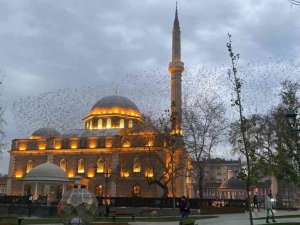 Tarihi cami üzerinde sığırcıkların görsel şöleni