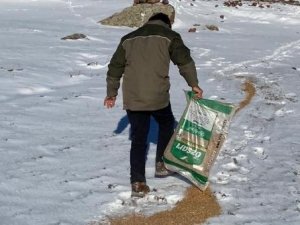 Yaban hayvanları için doğaya yem bırakıldı