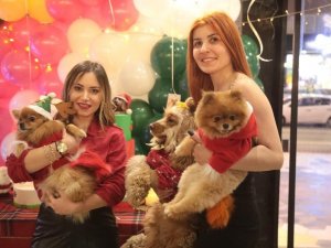 Sevimli dostlar 2022’yi rengarenk karşıladı