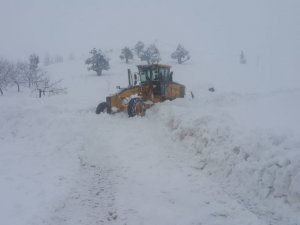 Dulkadiroğlu’nda karla mücadele