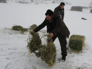 Yaban hayatı için doğaya yem bırakıldı