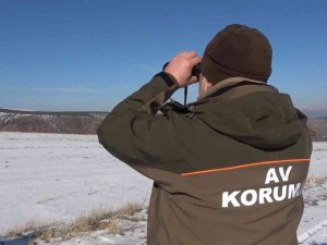 Bozkırın yaban hayatı korunuyor