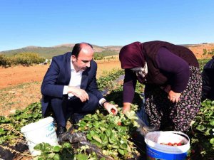 Konya Büyükşehir’den 2021’de tarıma 33 milyon lira destek