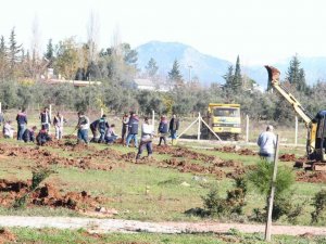 Döşemealtı’nda 17 bin fidan toprakla buluştu