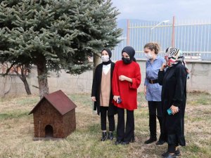 Üniversite öğrencisi istedi, onların da bir yuvası oldu