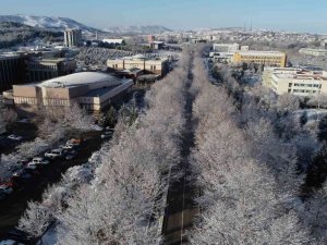 ESOGÜ, ‘Dünya Üniversiteleri GreenMetric’ sıralamasında