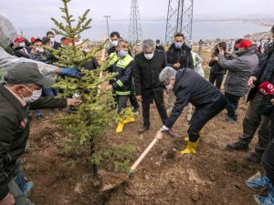 Van Büyükşehir Belediyesi 2021 yılında yeşil bir kent için çalıştı