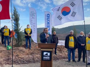 Orman yangınında Güney Koreli vatandaşların bağışladığı fidanlar, Pendik’te hayat buldu
