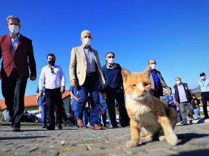 Muğla Büyükşehir barınağında 26 Bin 529 hayvan tedavi edildi
