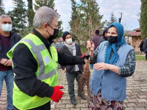 Altınordu’da 100 bin fidan toprakla buluşturuluyor
