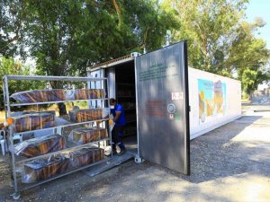 ‘Temiz petek projesi’ arıcıların yüzünü güldürdü