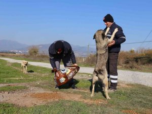 Efeler Belediyesi can dostları unutmuyor