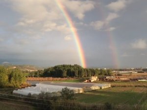 Yağmur sonrası gökkuşağı şöleni