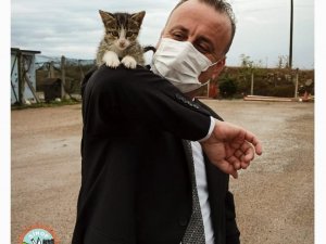 Sinop Belediyesi’nden ’sokak hayvanları’ açıklaması