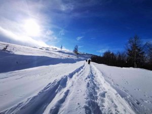 Kardüz Yaylasına yürüyerek çıktılar