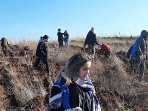 Manyaslı gençler meşe fidanını ektiler