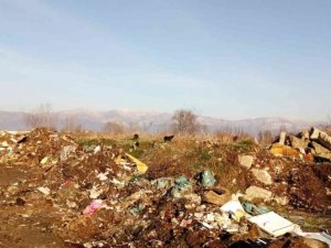 15 kamyon atık kaldırıldı