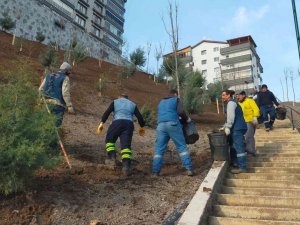 Keçiören’de ağaçlandırma seferberliği