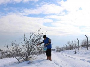 Karlı dağdaki yaban hayvanlarına yem
