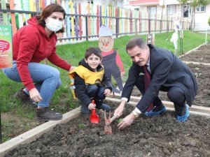 Minikler kışlık sebzelerini dikti