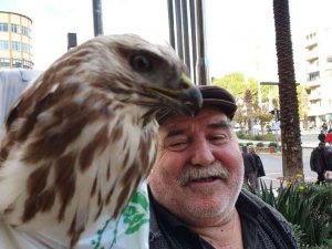 Bitkin haldeki şahini kurtaran vatandaş: "Hakkı Bulut’un kasetini dinleyince kendine geldi"