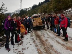 Osmaniye’de yaban hayvanlarına yem desteği